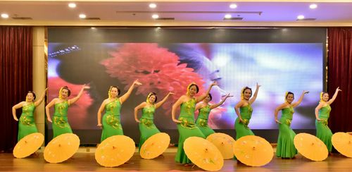 重庆市知青公会艺术团和西双版纳艺术团文化交流活动